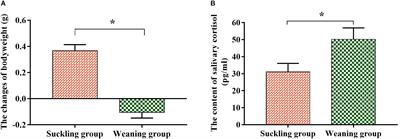 The Microbiome–Metabolome Response in the Colon of Piglets Under the Status of Weaning Stress